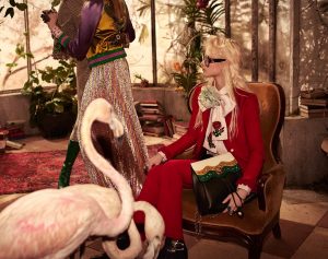 31 gucci-prefall-16-ads-07